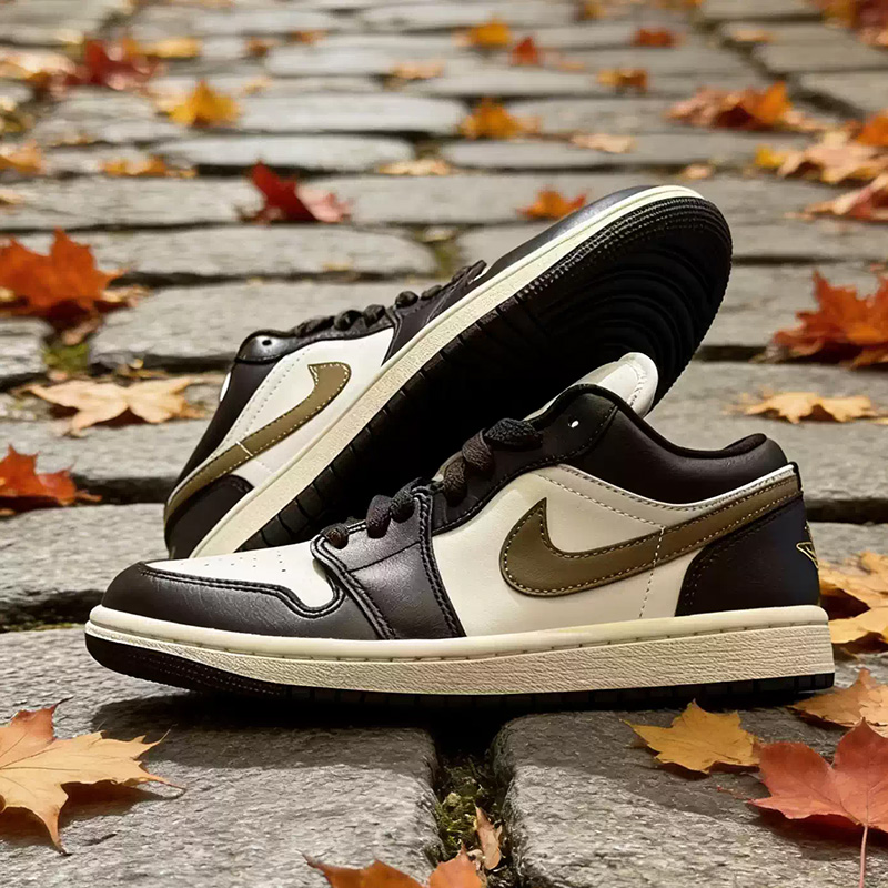 Nike Jordan Air Jordan1 Low Wh - Women'S Shoes Nike Jordan 评论和价格